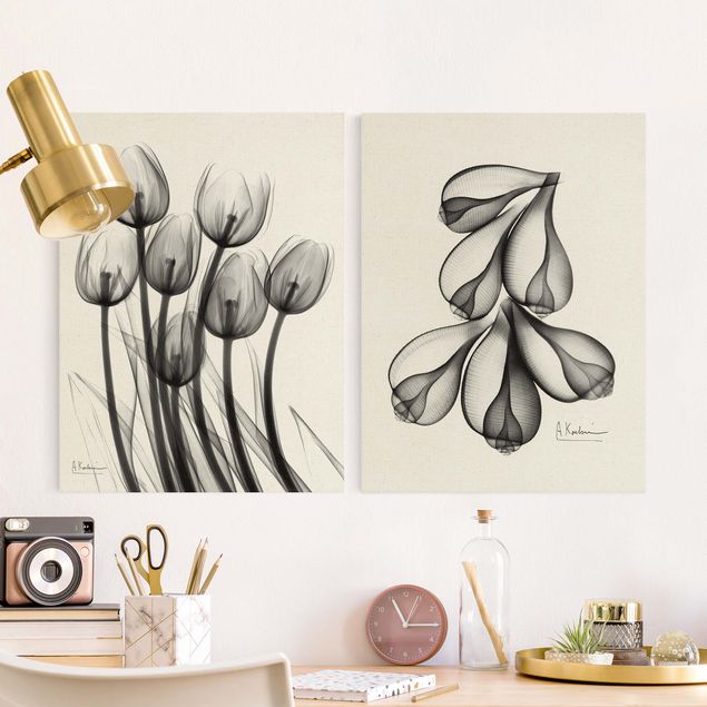 Wall art black and white X-Ray - Tulips & Fig Shells