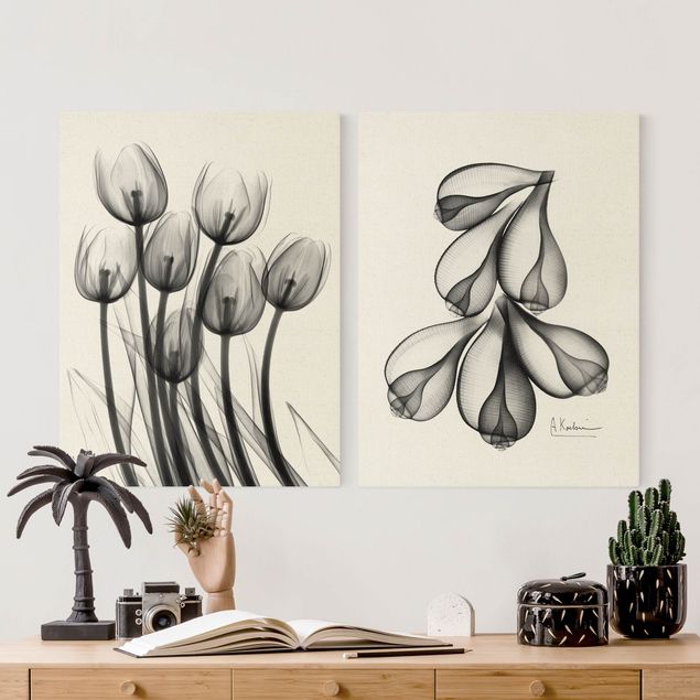 Prints black and white X-Ray - Tulips & Fig Shells