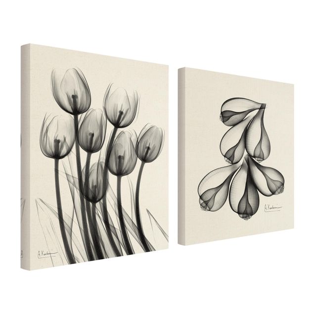 Canvas prints X-Ray - Tulips & Fig Shells