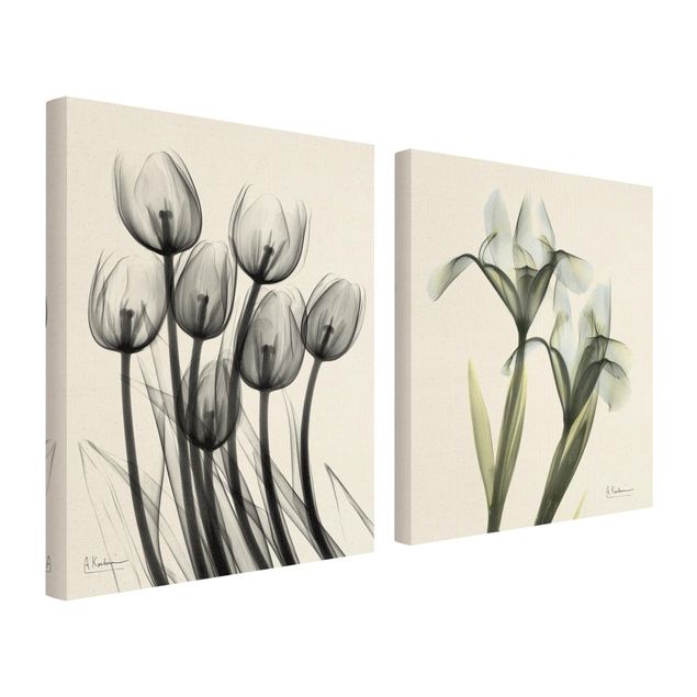 Canvas prints X-Ray - Tulips & Iris