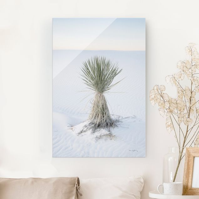 Glass prints dunes Yucca palm in white sand