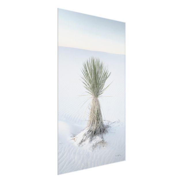 Prints modern Yucca palm in white sand
