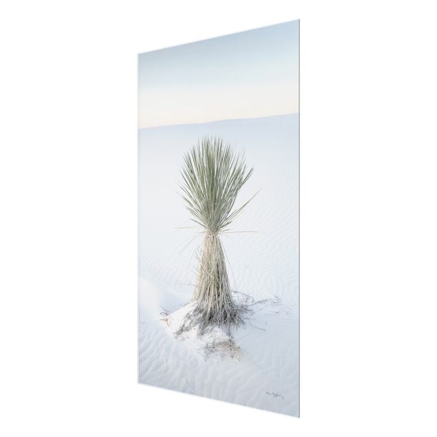 Prints blue Yucca palm in white sand