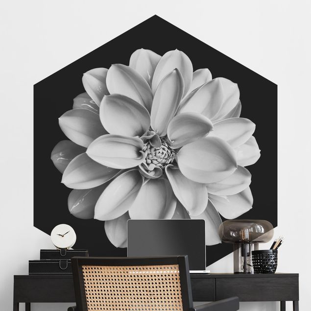 Black and white aesthetic wallpaper Delicate Dahlia In Black And White