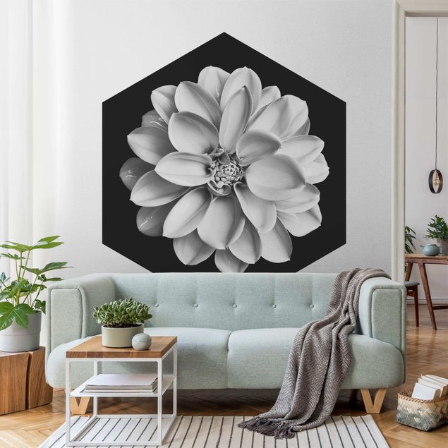 Wallpapers flower Delicate Dahlia In Black And White