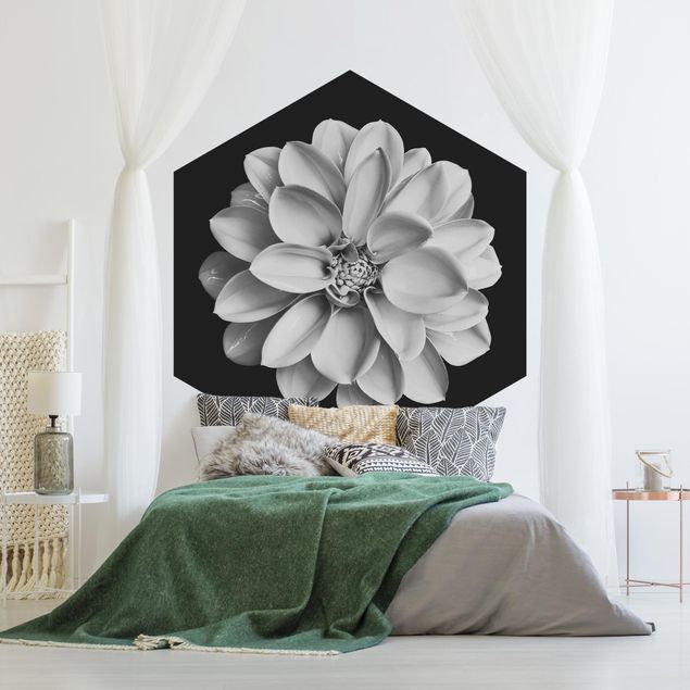 Modern wallpaper designs Delicate Dahlia In Black And White