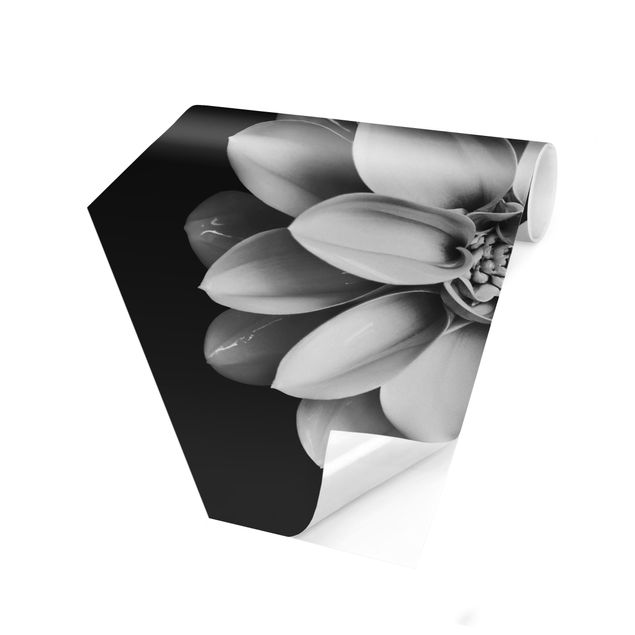Creme wallpapers Delicate Dahlia In Black And White
