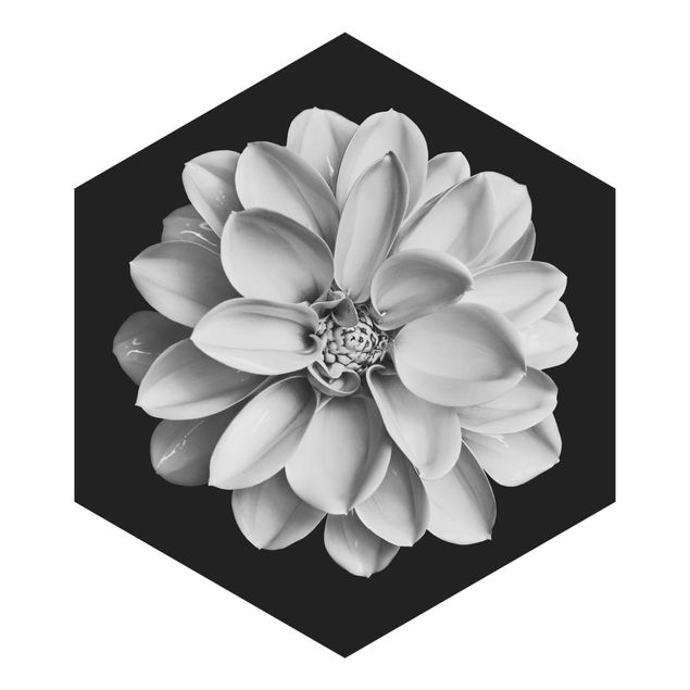 Adhesive wallpaper Delicate Dahlia In Black And White