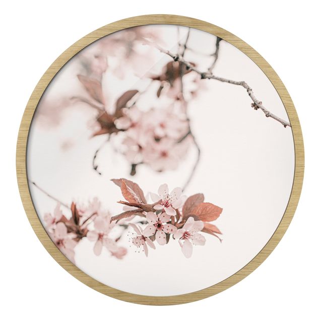 Pink art canvas Delicate Cherry Blossoms On A Twig