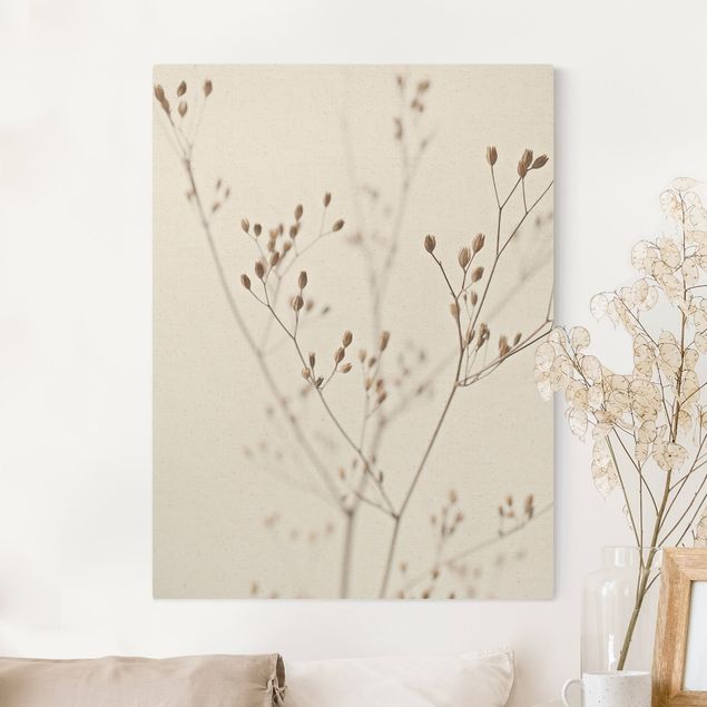 Canvas prints grasses Delicate Buds On A Wildflower Stem