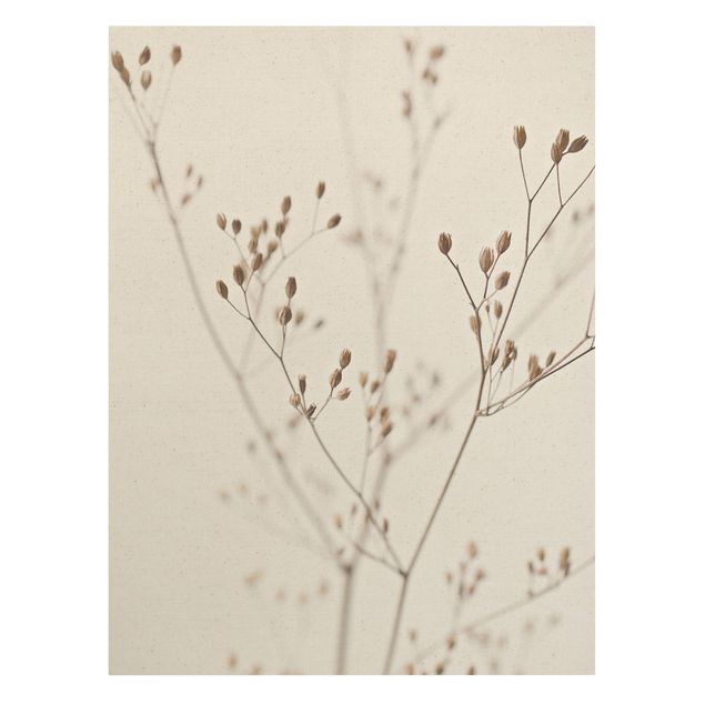 Modern art prints Delicate Buds On A Wildflower Stem