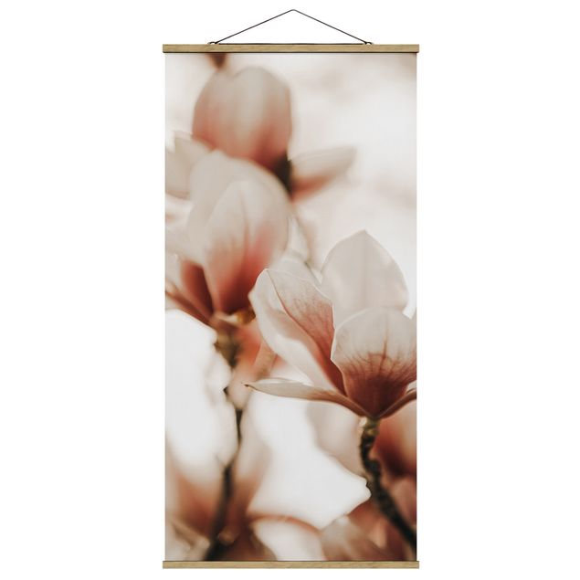 Modern art prints Delicate Magnolia Flowers In An Interplay Of Light And Shadows
