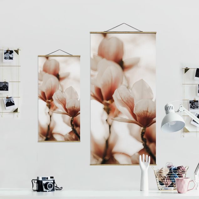 Monika Strigel Art prints Delicate Magnolia Flowers In An Interplay Of Light And Shadows