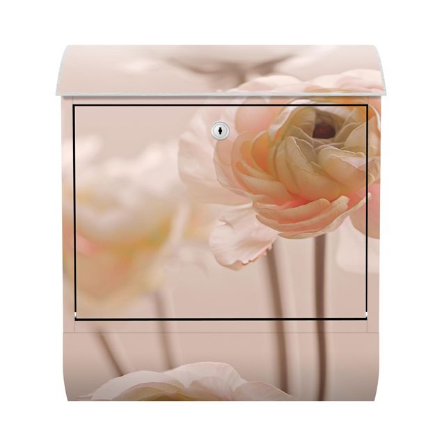 Letterboxes pink Delicate Bouquet Of Light Pink Flowers