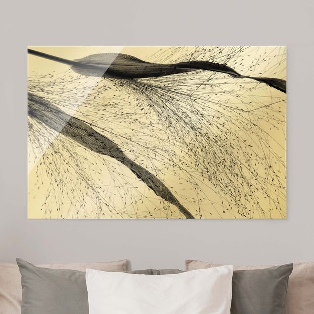 Glass prints flower Delicate Reed With Small Buds Black And White
