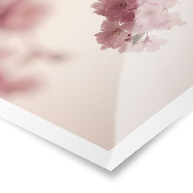 Monika Strigel Art prints Pale Pink Spring Flower With Bokeh