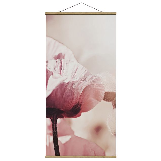 Prints floral Pale Pink Poppy Flower With Water Drops