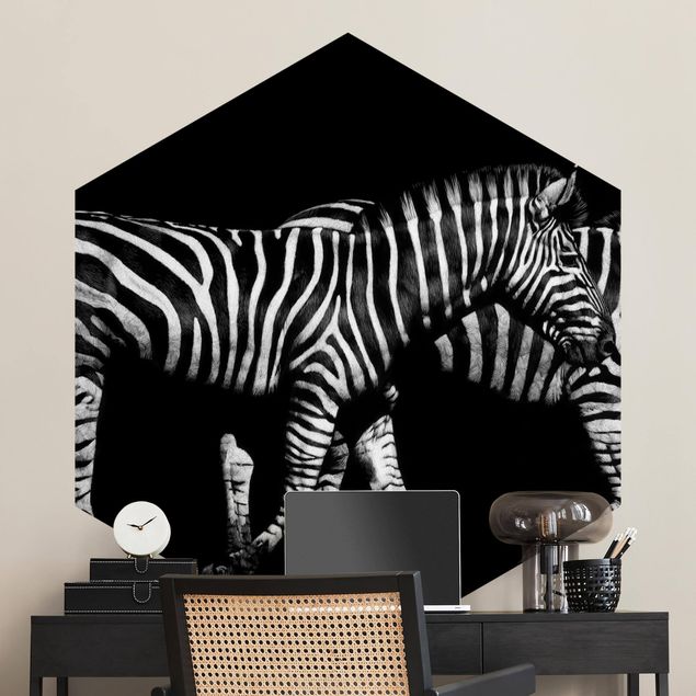 Wallpapers zebra Zebra In The Dark