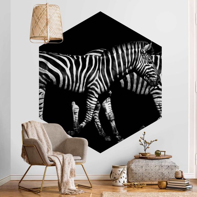 Wallpapers black and white Zebra In The Dark