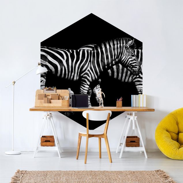 Wallpapers animals Zebra In The Dark