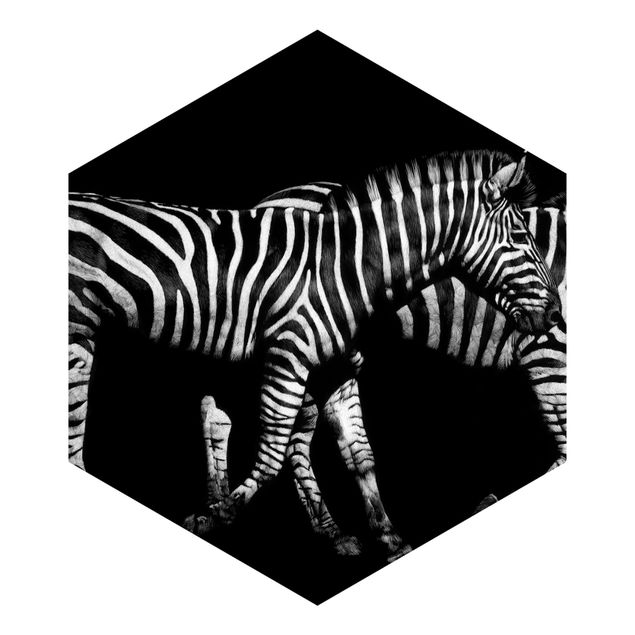 Self adhesive wallpapers Zebra In The Dark
