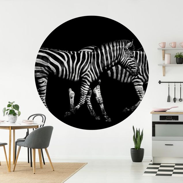 Wallpapers zebra Zebra In The Dark