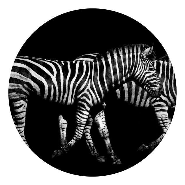 Wallpapers animals Zebra In The Dark