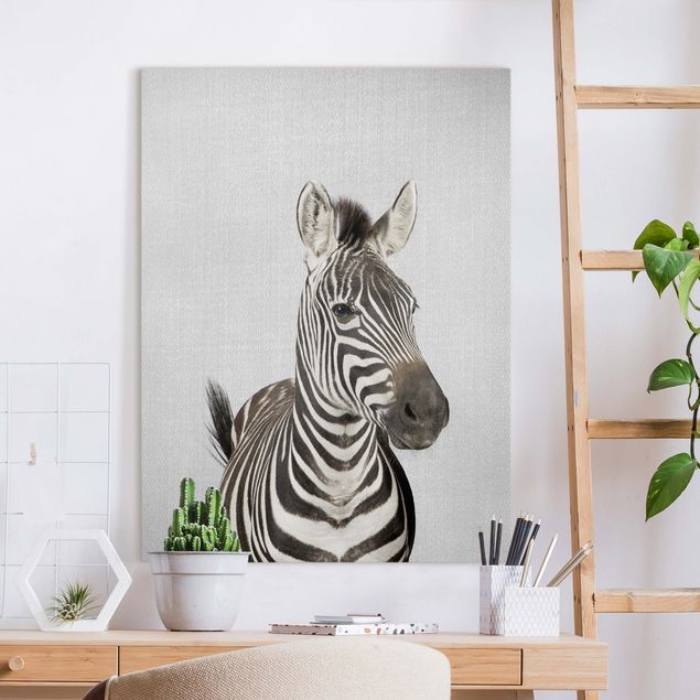 Prints zebra Zebra Zilla