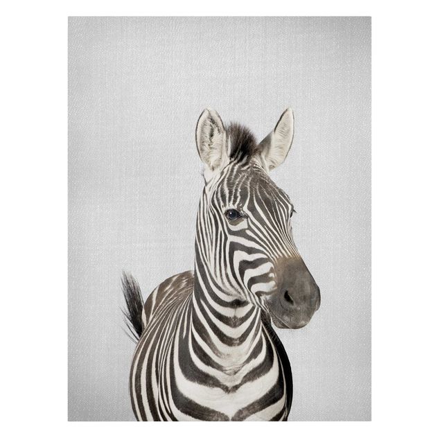 Prints animals Zebra Zilla
