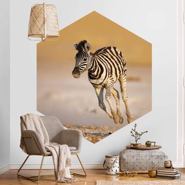 Wallpapers zebra Zebra Foal