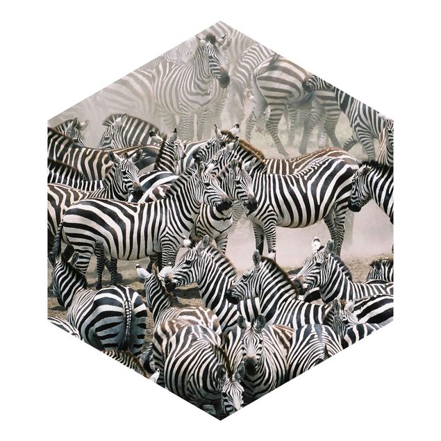 Wallpapers modern Zebra Herd