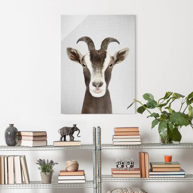 Glass prints black and white Goat Zora