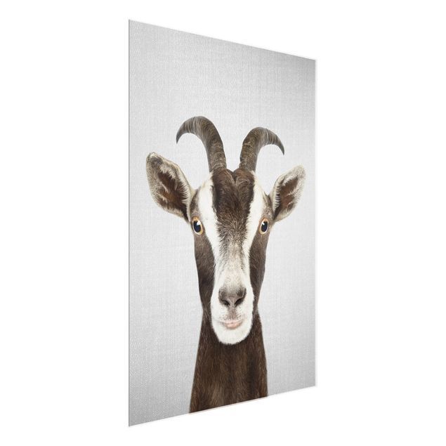 Prints animals Goat Zora