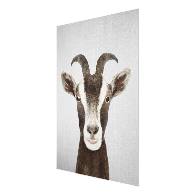 Gal Design Goat Zora