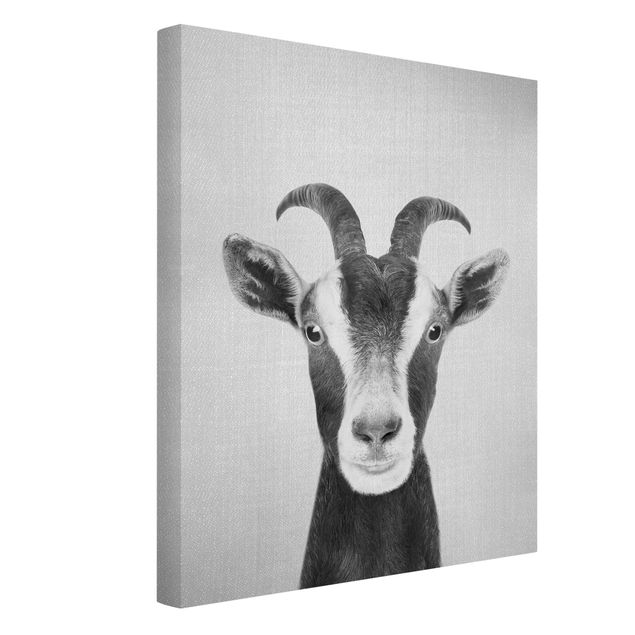 Contemporary art prints Goat Zora Black And White