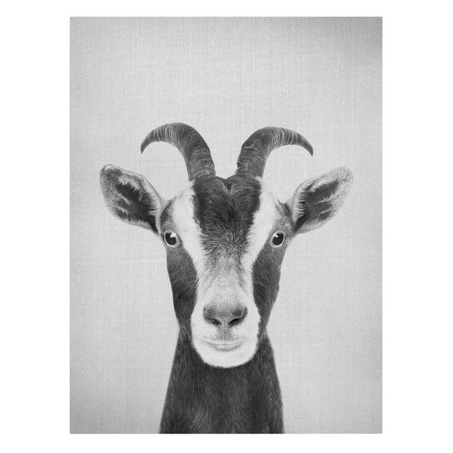 Black and white art Goat Zora Black And White