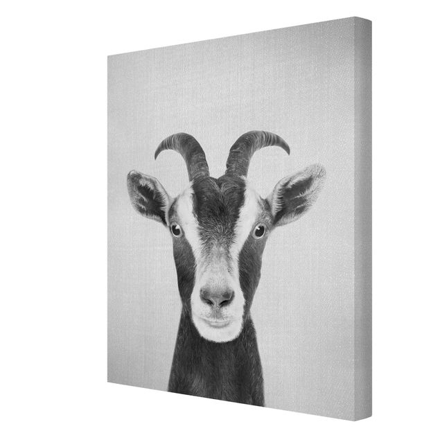 Gal Design art Goat Zora Black And White