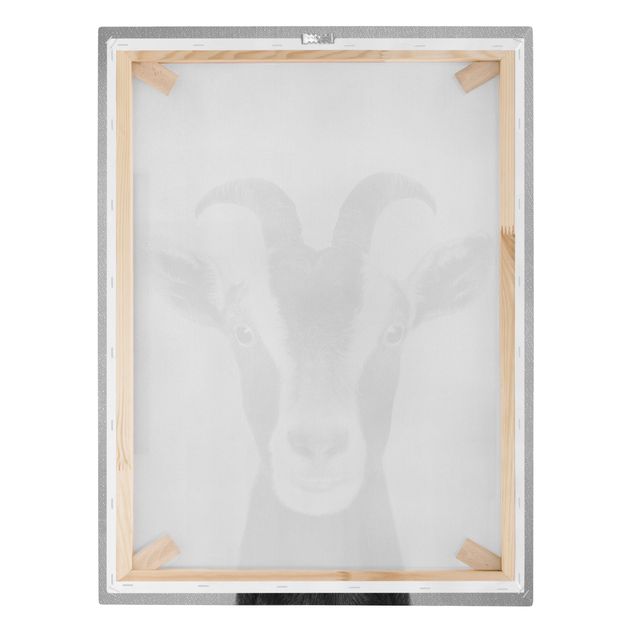 Prints Goat Zora Black And White