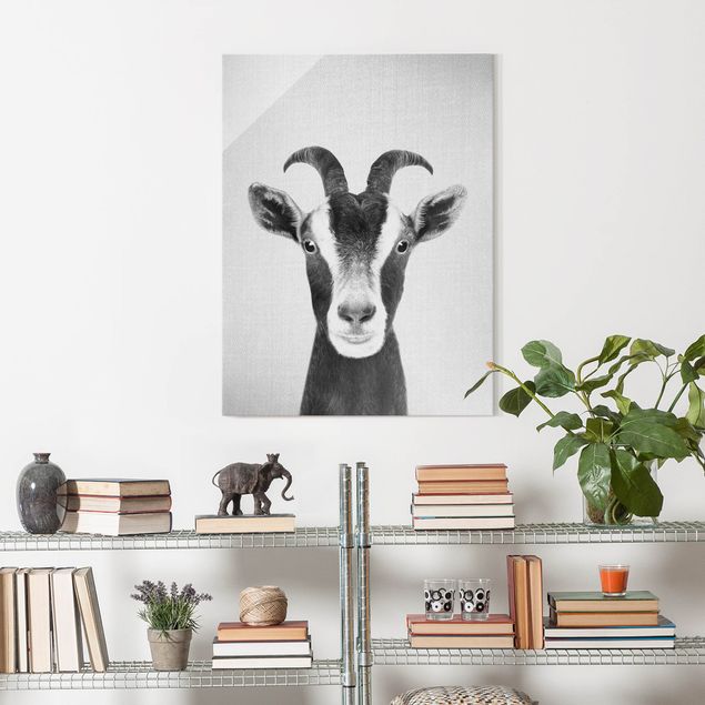 Glass prints black and white Goat Zora Black And White