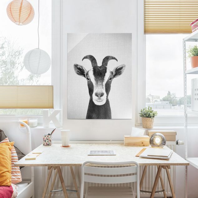 Glass prints pieces Goat Zora Black And White