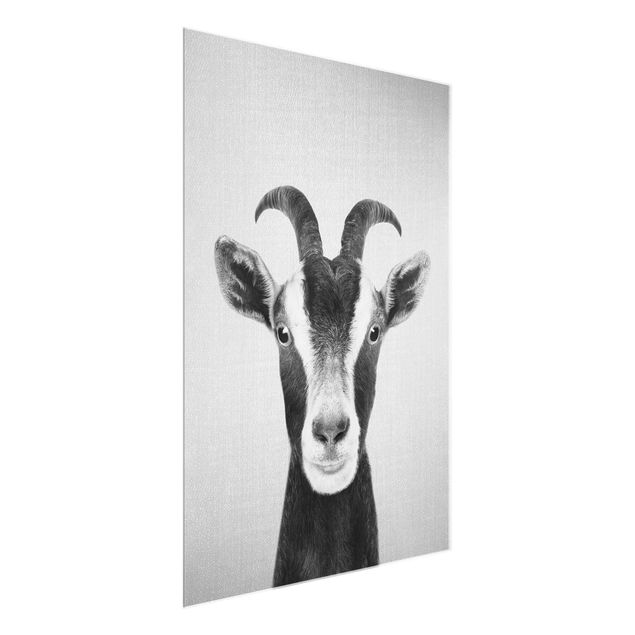 Animal canvas Goat Zora Black And White