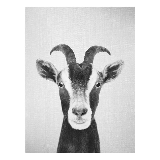 Black and white wall art Goat Zora Black And White