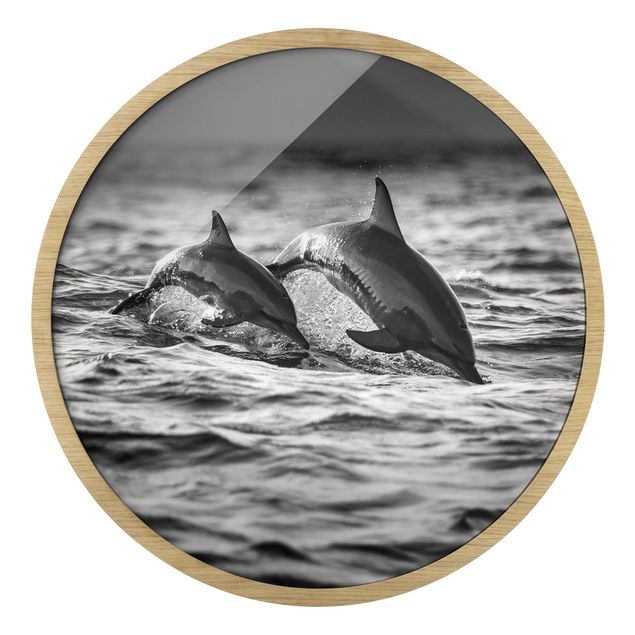Black and white framed photos Two Jumping Dolphins
